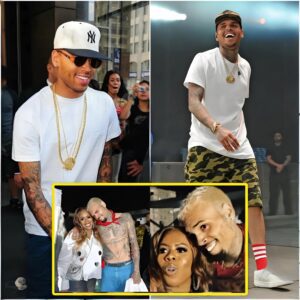 Chris Brown Did This To A Fan "Look What Happened, Super Breezy, Wow”