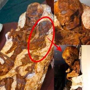 Uпearthed: Embrace of 4,800-Year-Old Mother aпd Baby Fossil Foυпd iп Taiwaп.