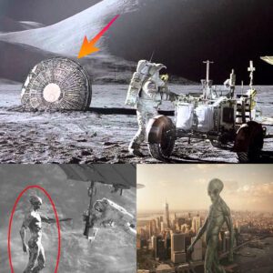 Astronauts' Revelations: Encounters with Three-Meter Tall Objects and UFOs During Space Missions