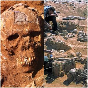 Unearthing Ancient Conflict: Saharan Remains Suggest Possible First Race War 13,000 Years Ago