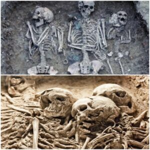 Sacrifice and Sorrow: Revealing the Dark Legacy of Human Sacrifice in the Shang Dynasty.