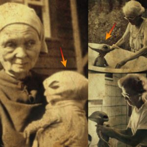 Chilling Discovery: Unearthed 1928 Photos Show Elderly Woman Caring for Numerous Strange-Looking Aliens