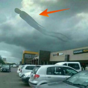 A Ghostly Object Resembling a 50-Meter-High Alien Hovering in the US Sky, Causing Panic and People Fleeing (Video)