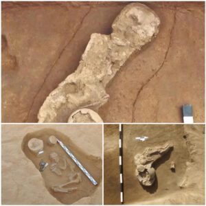 Journey into Prehistory: Neolithic Child Burial Site Found by Archaeologists in Tamil Nadu, India