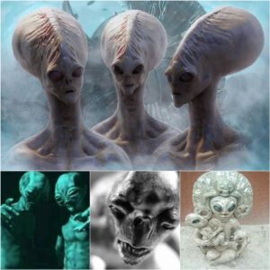 Revealing Cosmic Conspiracies: Investigating Government Cover-Ups and the Secrets of Extraterrestrial Encounters