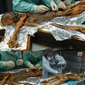 Journey into the Past: Unveiling the Fascinating Story of Ötzi, the 5,300-Year-Old Frozen Man