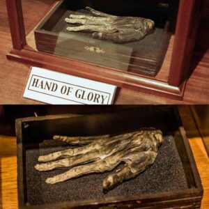 A Grisly Discovery: Mummified Hand of Glory Unearthed in Yorkshire Wall