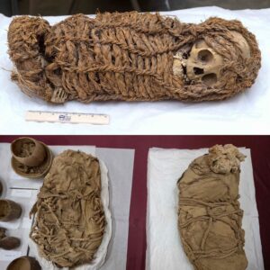 Bundles of History: Peruvian Archaeological Discovery Sheds Light on 22 Mummies, Primarily Children and Infants