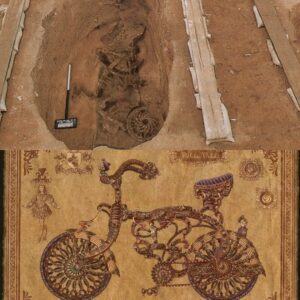 Bridging Eras: Investigating the Intriguing Presence of a Bicycle Found in a Medieval Tomb