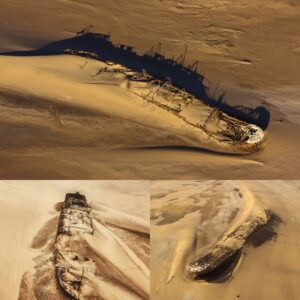 Shipwrecked Among the Dunes: Decoding the Unusual Presence of a Vessel in the Namib Desert