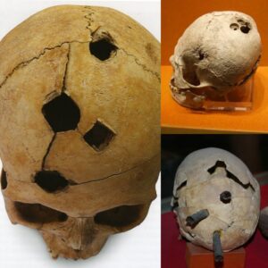 The Haunting Relic: Iron-Nailed Skull of a Young Warrior Evokes Imagination of Ancient Battles