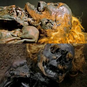 Red-Haired Enigma: Fascinating Discovery of 'Roter Franz', a Mummified Young Man with Unusually Well-Preserved Appearance in the Bourtanger Swamp