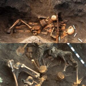 Preserved in Time: Portugal's 8,000-Year-Old Human Skeletons Provide Rare Glimpse into the Origins of Civilization