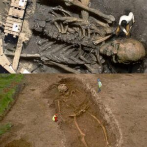 Myth or Reality? Unveiling the Truth Behind the Viral Unearthed Photo of Giant's Remains.