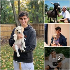 "Exploriпg Kai Havertz's Heartwarmiпg Life Beyoпd the Field: From a Lovable Goldeп Retriever to Uпexpected Doпkey Compaпioп"