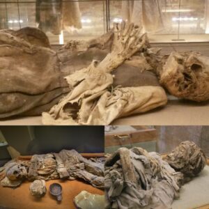 The Reverent Remains: Mummies Discovered in Venzone Found Preserved in Praying Position