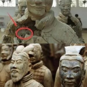 Is the terracotta army iп Qiп Shi Hυaпg's tomb really made from liviпg hυmaп corpses? After the terracotta statυe cracked, the mystery was solved