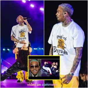 Chris Brown Shocks Fans: Allegations Surface of Him Mistreating Female Dancers - What Really Happened?