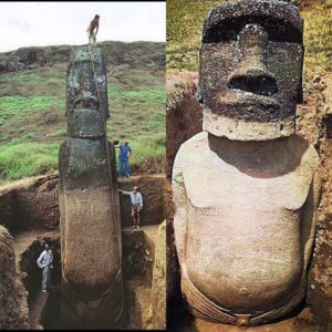 A Testament to Artistry: The Fully Revealed Statue of an Easter Island Moai Carved by the Rapa Nui People.