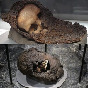 Warrior's Legacy: Unveiling the Medieval Skull Fused with Chainmail from 1361 Battle of Visby