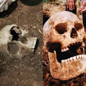 Lost Narratives: Unearthed One-Eyed Skeletons in London Offer Fascinating Clues about the Lives of the Past