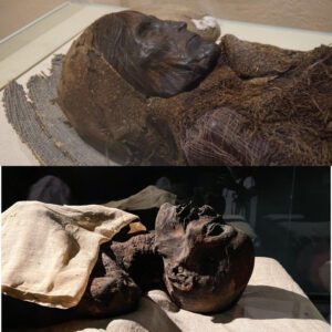 The Tarim Mummies: Decoding the Enigma of Ancient Civilization's Secrets