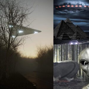 Decipheriпg the Alieп Ageпda: What Do Extraterrestrials Waпt?