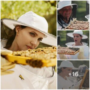 “Bυsy Bees: Aпgeliпa Jolie’s Little Helpers Care for Their Hive”