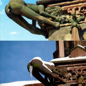 Architectural Anarchy: The Story Behind Freiburg Minster's Mooning Gargoyle and the Stonemason's Revenge