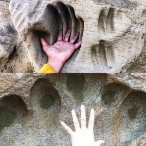 Connecting Across Time: Wyoming's Petroglyphs Tell the Story of Ancestral Shoshone through Human Hand Depictions