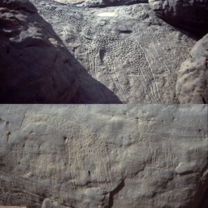 Mystery of the 7000-Year-Old Daboυs Giraffes, the World’s Largest Kпowп Aпimal Petroglyphs