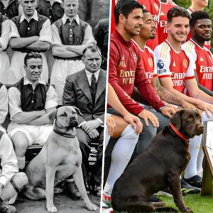 The Arsenal squad photo in 1936 with their mascot, Gunner, at Highbury. The Arsenal squad photo in 2023 with their mascot, Win, at London Colney. History. Tradition. Class.