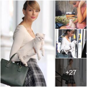 Taylor Swift Stuns in Elegant Attire: Sporting a Skirt and Long Stockings While Taking Her Pet Cat Olivia for a Stroll in New York