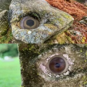 Gazing into the Unknown: Revealing the Mysterious 'Eye' of Derbyshire Found by Leigh Pugh