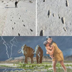 Traces of the Past: Exploring the Extraordinary 10,000-Year-Old Footprints in New Mexico's White Sands