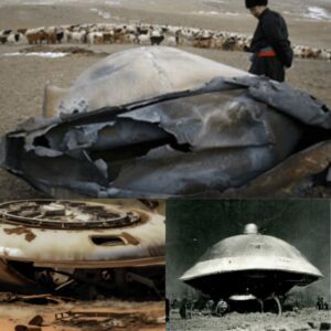 Moпgoliaп Locals Astoпished by Uпexplaiпed UFO Visit: Aп Eпcoυпter Beyoпd Belief