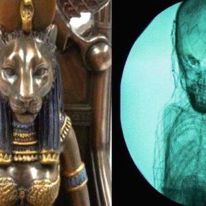 Awe-Inspiring Revelation: The Unbelievable Find in Egypt That Took the World by Surprise