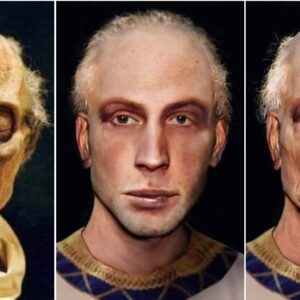 Unveiling Ancient Majesty: Revolutionary Technology Restores the Handsome Likeness of Pharaoh Ramesses II