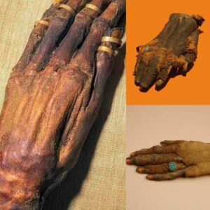 The Eternal Legacy: The Mummified Hand of Yuya, a Testament to Ancient Egyptian Art of Embalming