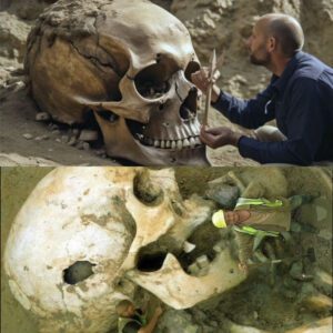 Unmasking the Nephilim: Investigating the Discovery of a Skull that Challenges Historical Narratives