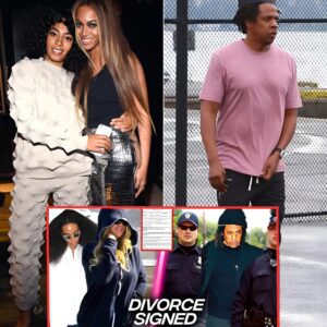 Solange Helps Beyonce Escape From Jay Z After His RICO Arrest?