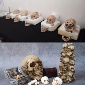 Enigmatic Skulls Unveiled: Mexican Excavation Reveals 13 Mysterious Finds at Maya Pyramid