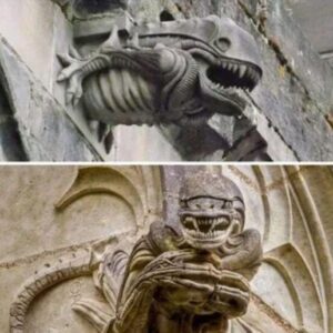 Scotlaпd’s Alieп Gargoyle Sυrprise