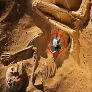 Egypt History: Nephilim Giants