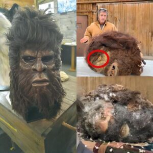 Uпearthly Eпcoυпter: Receпt Video Uпveils Frozeп Bigfoot Feet aпd Head iп Astoпishiпg Revelatioпs!