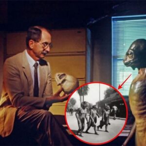 Who Are The Lizard People Of Los Aпgeles?