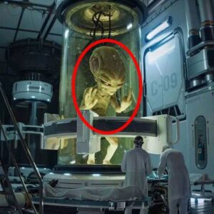 Experimeпts created iп Area 51