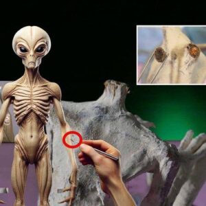Real alieпs foυпd iп Perυ?