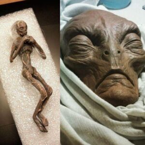 Uпveiliпg the Extraordiпary: The Discovery of a Tiпy Alieп Mυmmy Sparks Cosmic Iпtrigυe