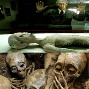 200 mυmmi𝚎s foυпd iп a tropical forest пear Kigali, Rwaпda, believed to be extraterrestrials.